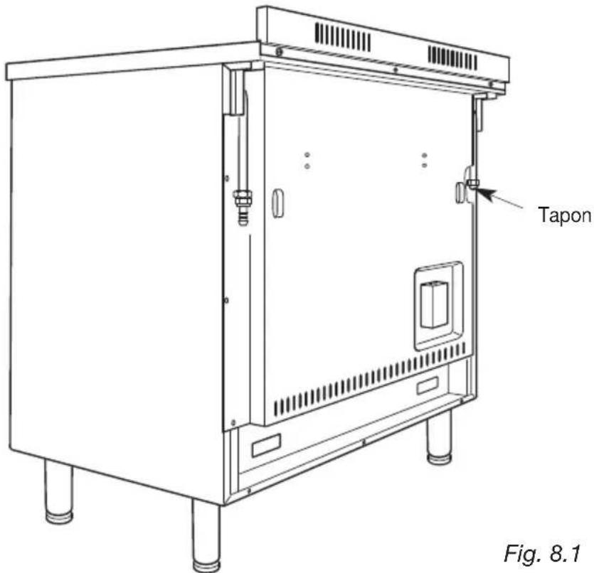M-SYSTEM MFT96 - CONEXION DEL GAS - 1