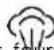 KALORIK TKG SI 9 - BOUTON JET DE VAPEUR - 1