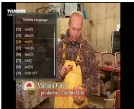 Ferguson Ariva 53 - SUBTITLE (Sous-titres) - 1