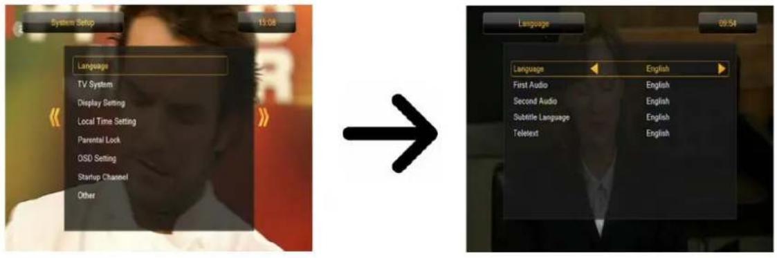 Ferguson Ariva 53 - Langues - 1