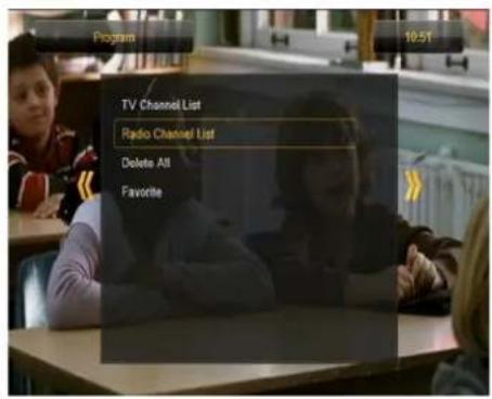 Ferguson Ariva 53 - List des chaînes radio - 1
