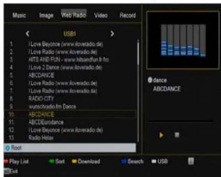 Ferguson Ariva 53 - Web radio - 1