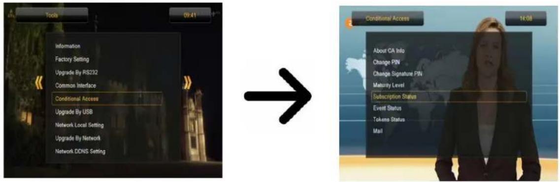 Ferguson Ariva 52E - Menu de la carte d'accès - 1