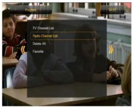 Ferguson Ariva 52E - List des chaînes radio - 1