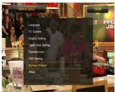 Ferguson Ariva 250Combo - Chaine de démarrage - 1
