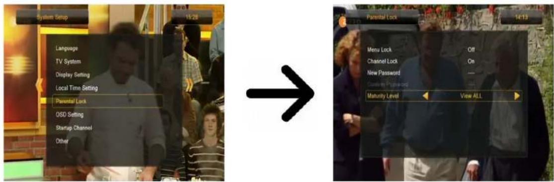 Ferguson Ariva 203 - Verrouillage parental - 1