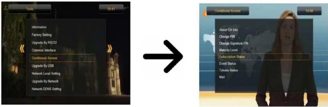 Ferguson Ariva 203 - Menu de la carte d'accès - 1