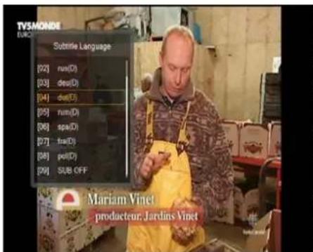 Ferguson Ariva 103mini - SUBTITLE (Sous-titres) - 1