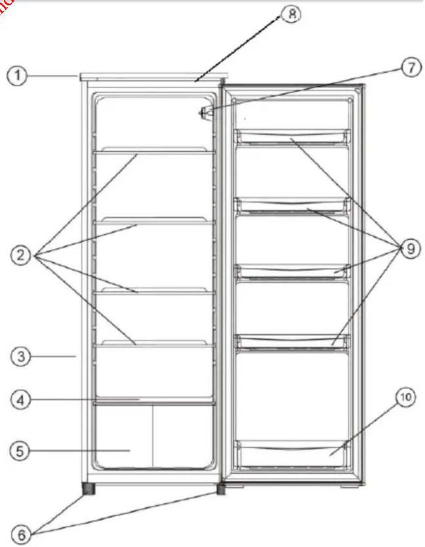 PROLINE PFL225AF1 - NOMIDELLEPARTI - 1