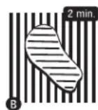 Broil King Sovereign 70 - LE GUIDE DU BIFTECK PARFAIT - 2