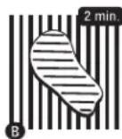 Broil King Sovereign 70 - GUÍA PARA ASAR EL FILETE PERFECTO. - 2