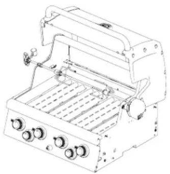 Broil King Regal S590 Pro - ROSTIZADO - 1