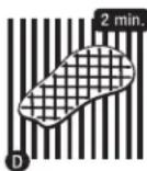 Broil King MONARCH 340 - GUÍA PARA ASAR EL FILETE PERFECTO. - 4