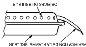 Broil King PortaChef Pro - SI LE BRÜLEUR NE S.ALUME PAS: - 1