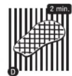 Broil King Imperial XLS - ASADO DIRECTO - 4