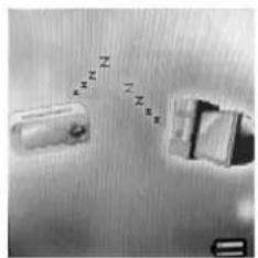 Difrnce MP1500 - Flash Disk - 2
