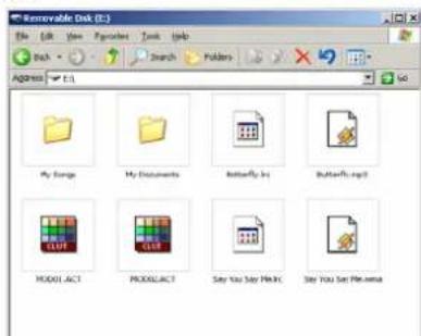 Difrnce MP1100 - Speichern von MP3- und WMA-Dateien oder AMV-Videodateien - 5