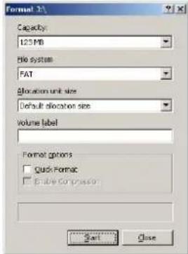 Difrnce MP1100 - Using the Formatting in Windows® - 2