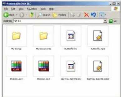Difrnce MP1100 - English - 1