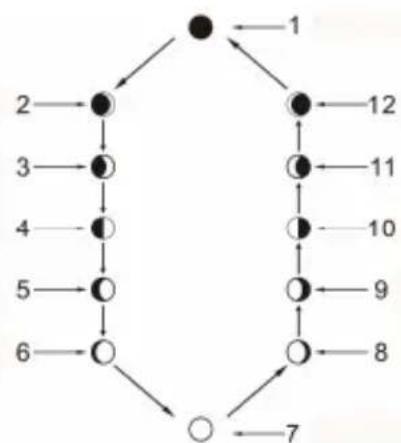 Cresta DTX 310 - Anzeige der Mondphase - 1
