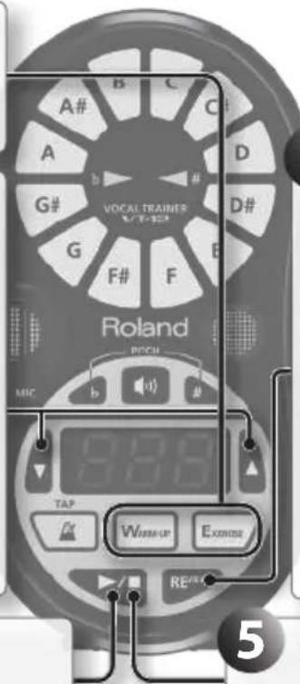 ROLAND VT12 - HINWEIS - 1
