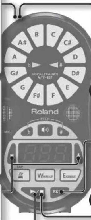 ROLAND VT12 - Drucken Sie die [▶/■]-Taste. - 1