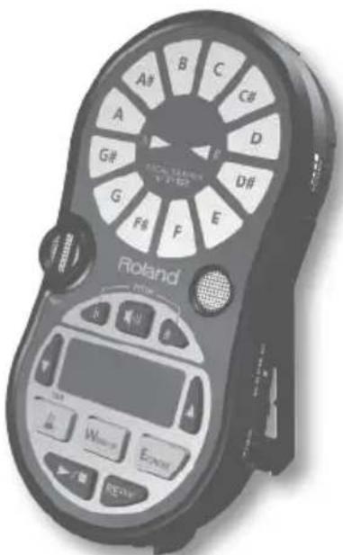 ROLAND VT12 - Cosa sono le trace? - 1
