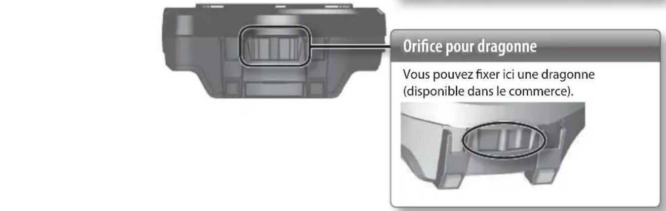 ROLAND VT12 - Bouton [exercise] - 2