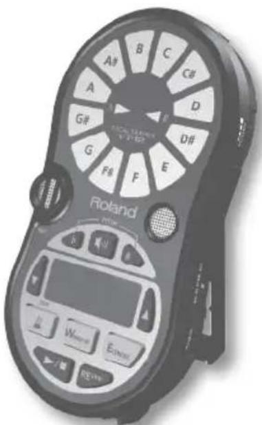ROLAND VT12 - What are tracks? - 1