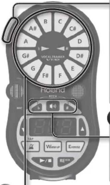ROLAND VT12 - Usando o suporte - 2