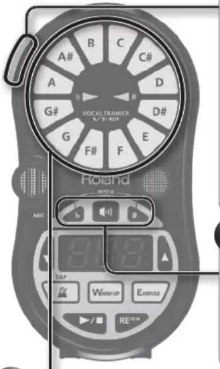 ROLAND VT12 - Vérification de la hauteur de note - 1