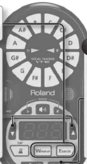 ROLAND VT12 - MEMO - 1