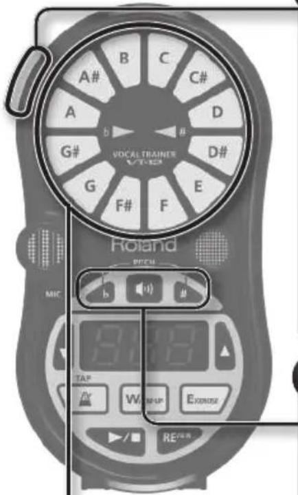 ROLAND VT12 - Überprüfen der Tonhöhe - 1