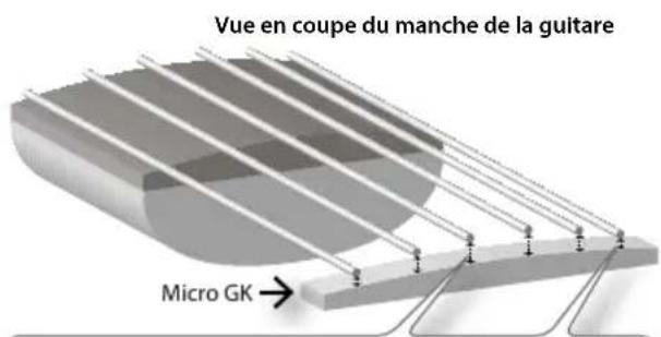 Vue en coupe du manche de la guitare Micro GK →