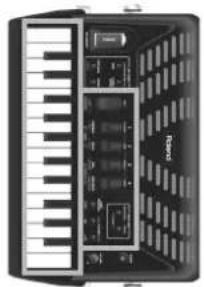 ROLAND FR1X - Section main droite - 1