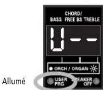 CHORD/ BASS FREE BS TREBLE 8 ORCH / ORGAN USER PRG SEAKER OFF Allumé