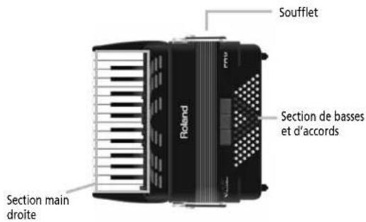 Soufflet Poland Section de basses et d'accords Section main droite