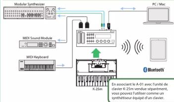 ROLAND A01 - ATTENTION - 1