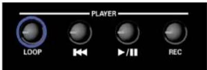 ROLAND FR8X - Remarque - 1