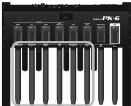ROLAND PK6 - NOTE - 1