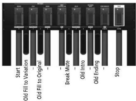 ROLAND PK6 - Anm. - 2