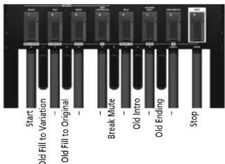 ROLAND PK6 - Nota - 2