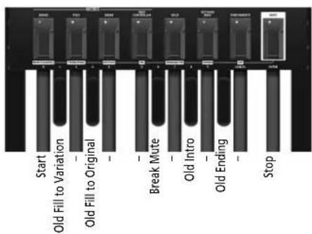 ROLAND PK6 - Nota - 2
