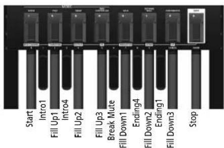 ROLAND PK6 - MIDI CONTROLLER-Modus - 3