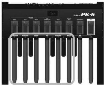 ROLAND PK6 - Canaux de transmission MIDI - 4