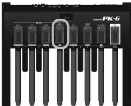 ROLAND PK6 - Press the [MIDI CONTROLLER/PG] footswitch. - 1