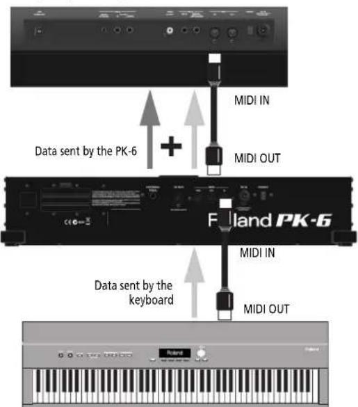 ROLAND PK6 - NOTE - 1