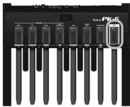 ROLAND PK6 - Anzeige der Batterieladung - 2
