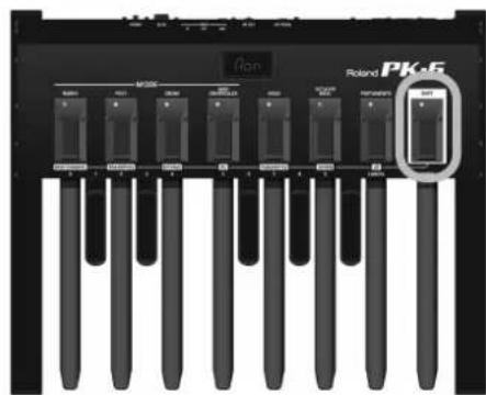 ROLAND PK6 - Indicator de energia de las pilas - 2
