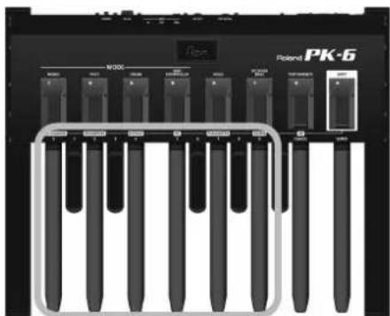 ROLAND PK6 - Remarque - 1